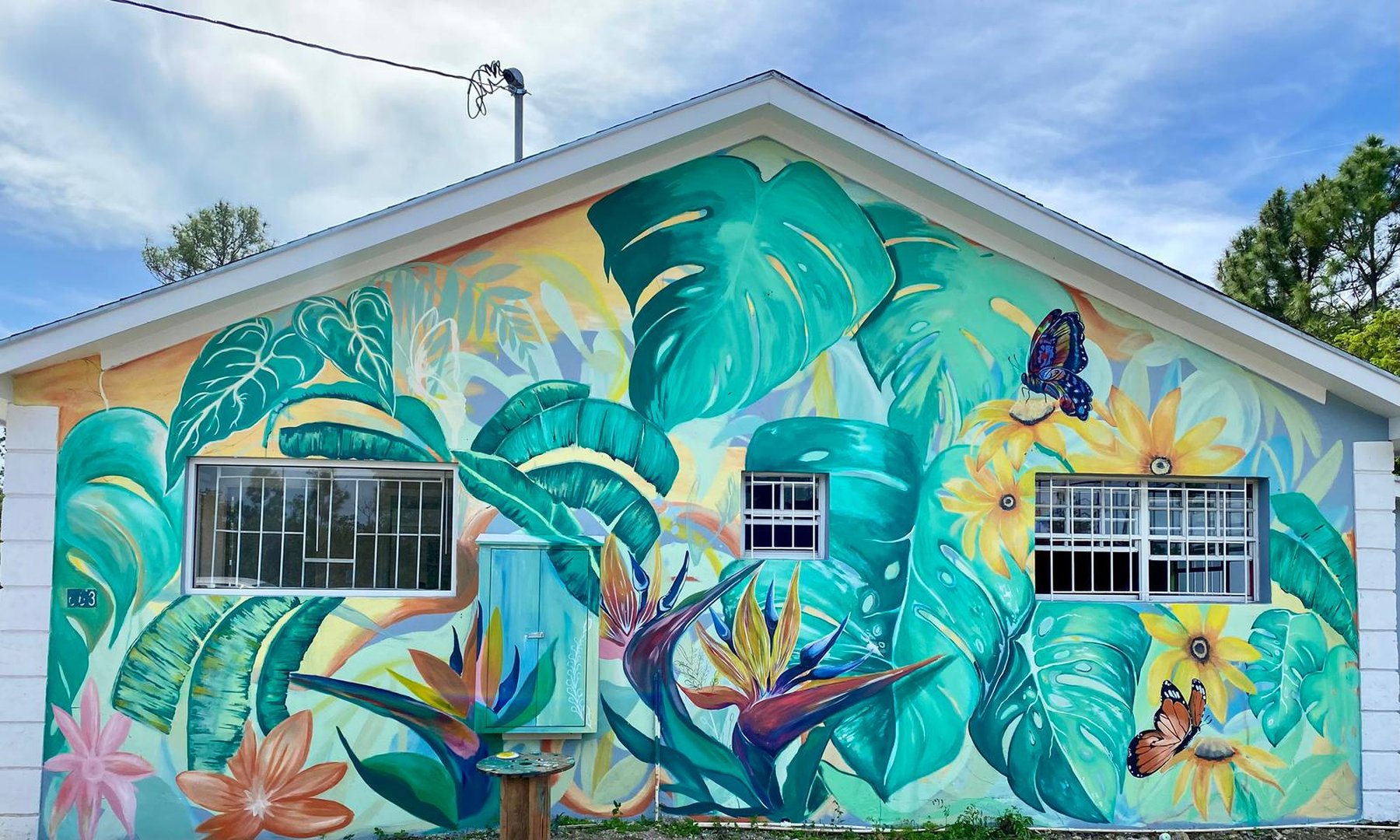 The colorful tropical mural on the exterior of The Community Learning Center building