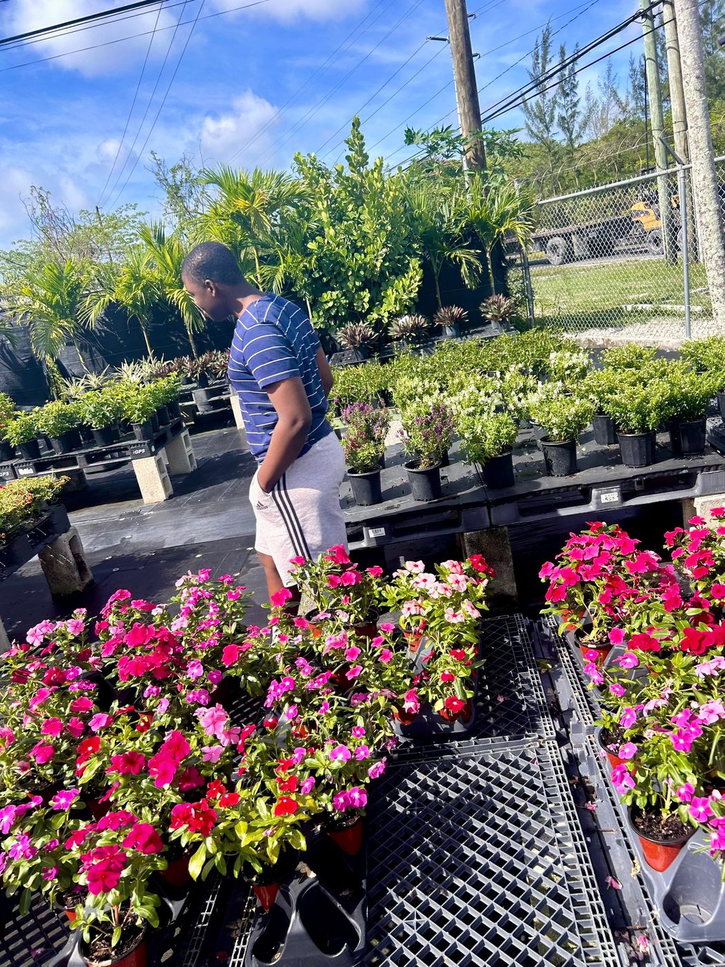 A flower-planting activity at school
